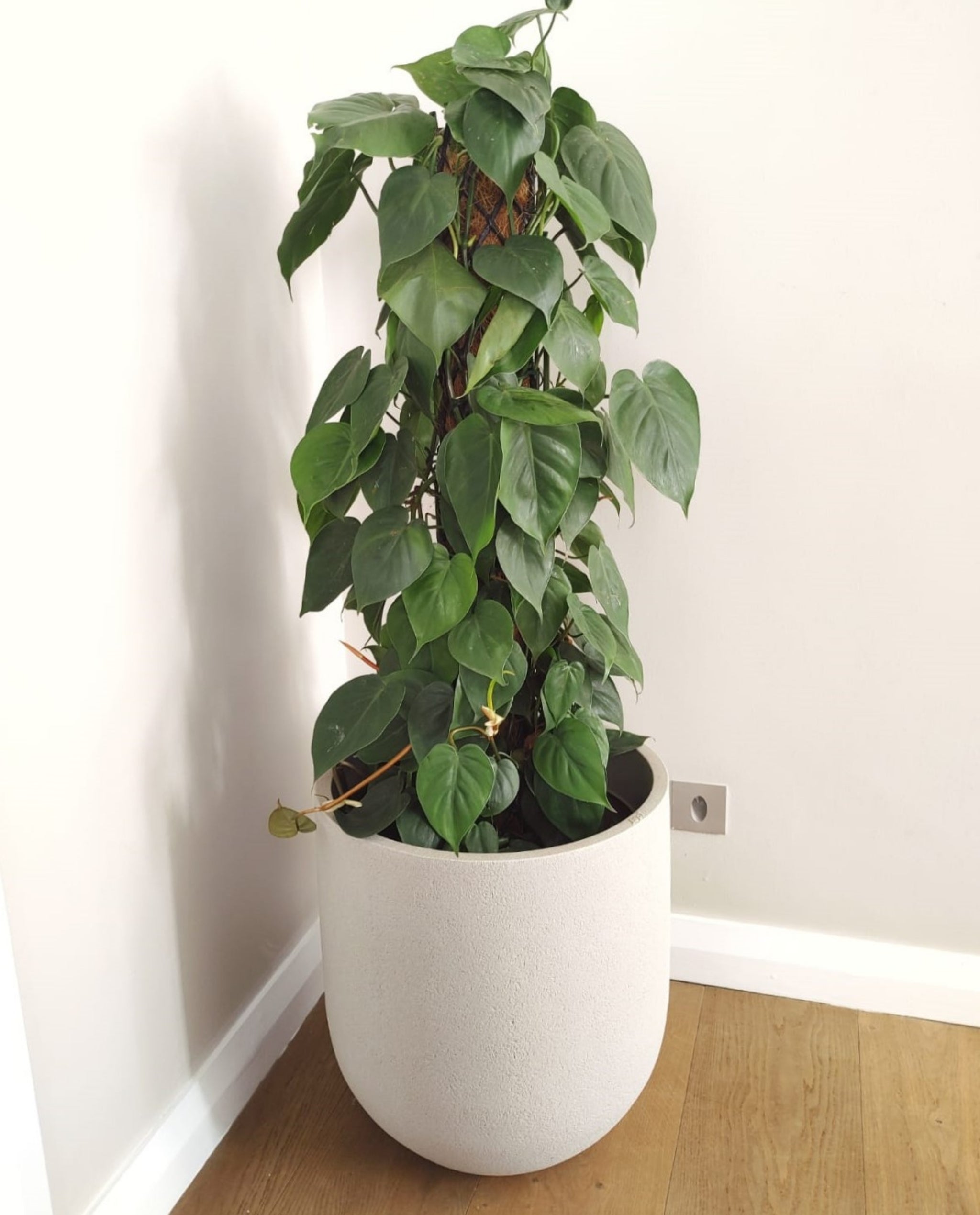 Rustic Cask Set of 3 Outdoor Planters