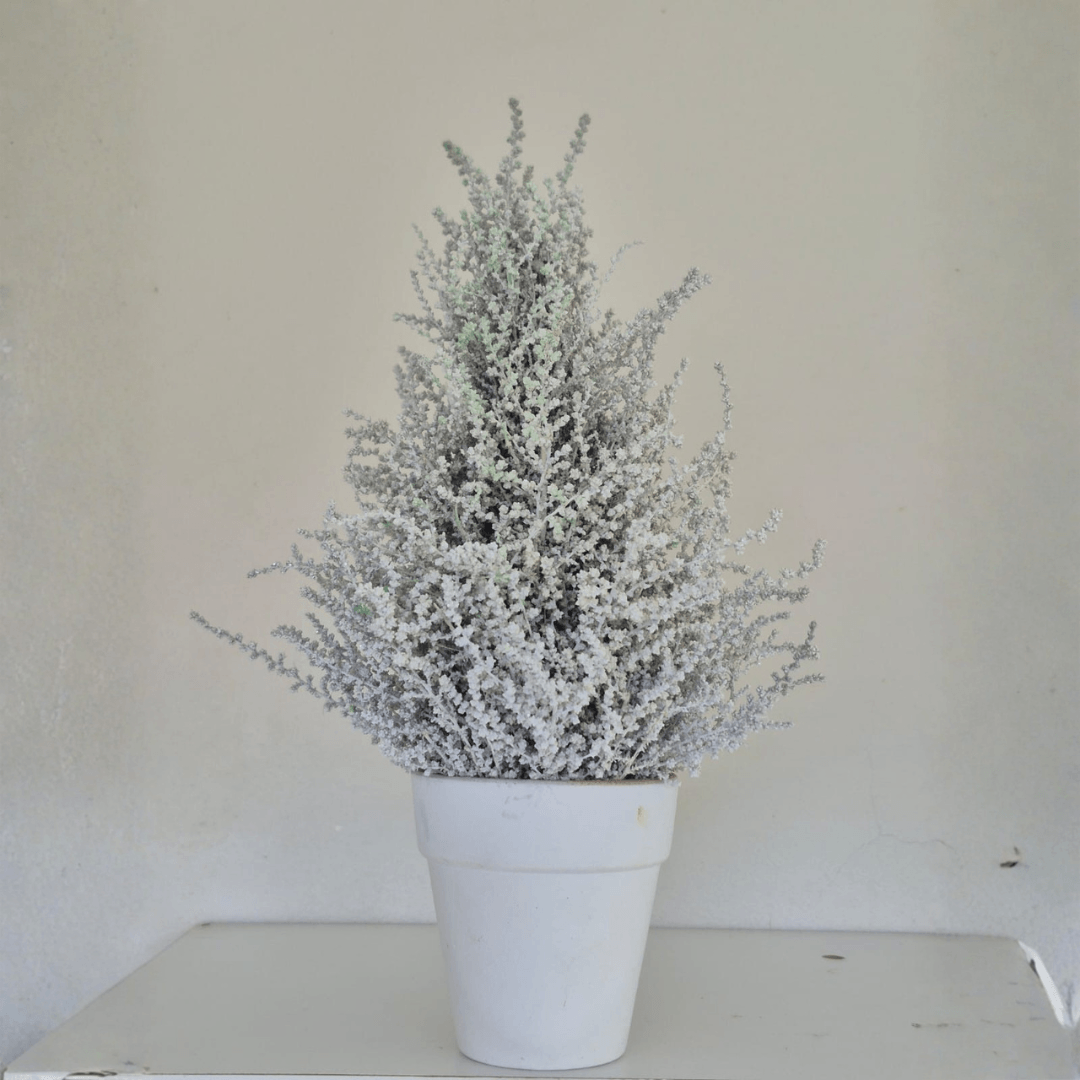 500mm white slangbos Christmas tree