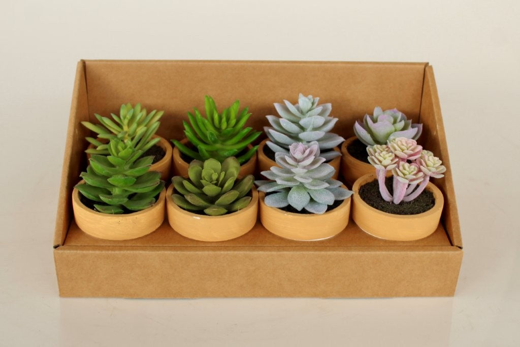 SET OF 8 SMALL FAUX SUCCULENT POTS