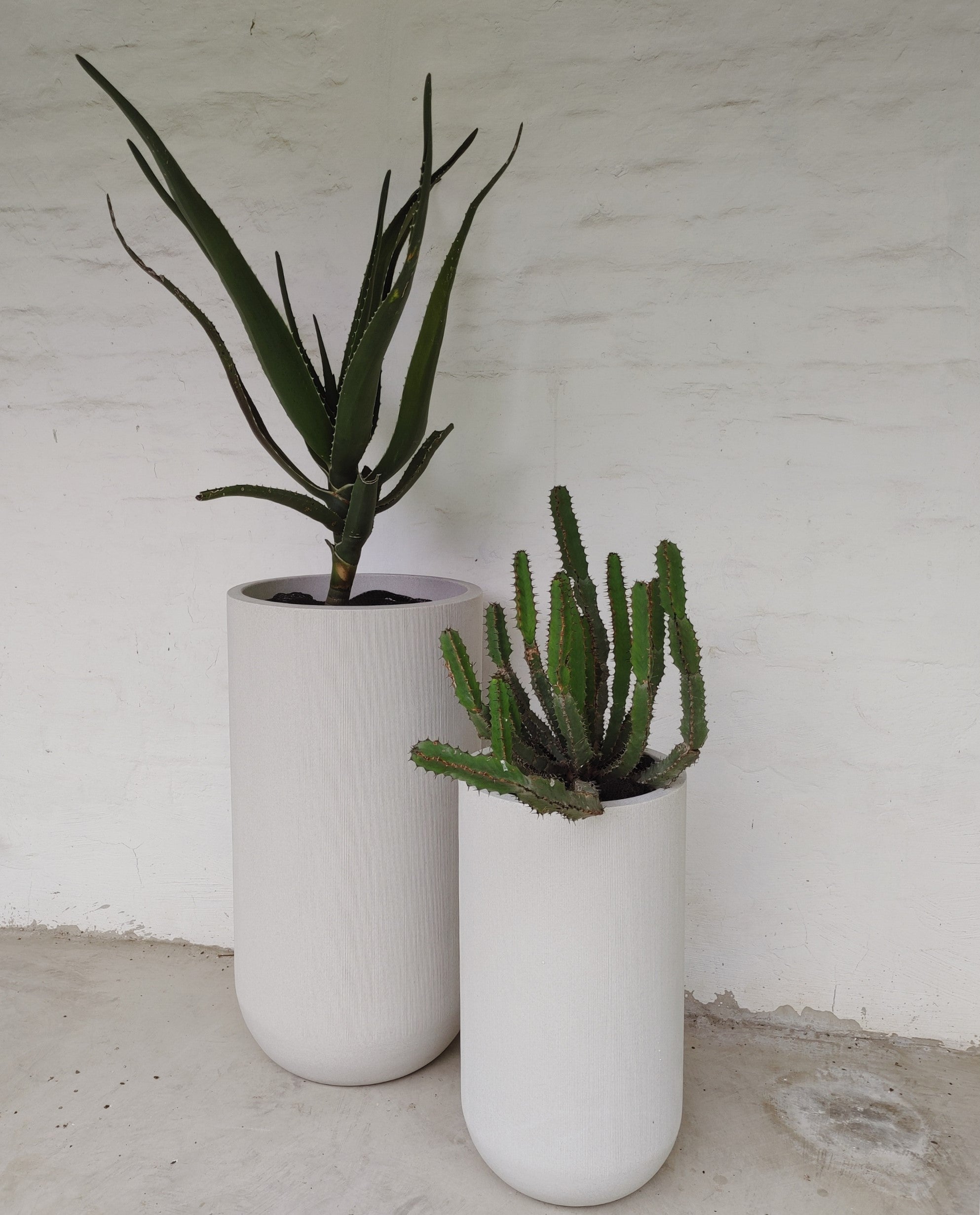 Fringe Set of 2 Outdoor Planters