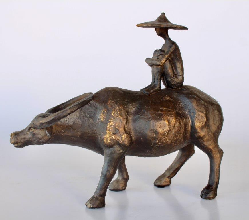 Man Sitting on Buffalo