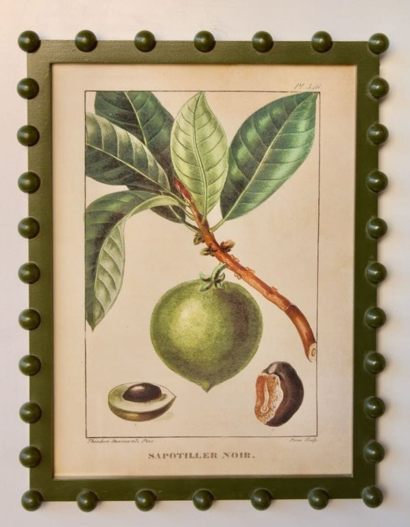 Apricot Picture in a Green Bobble Frame