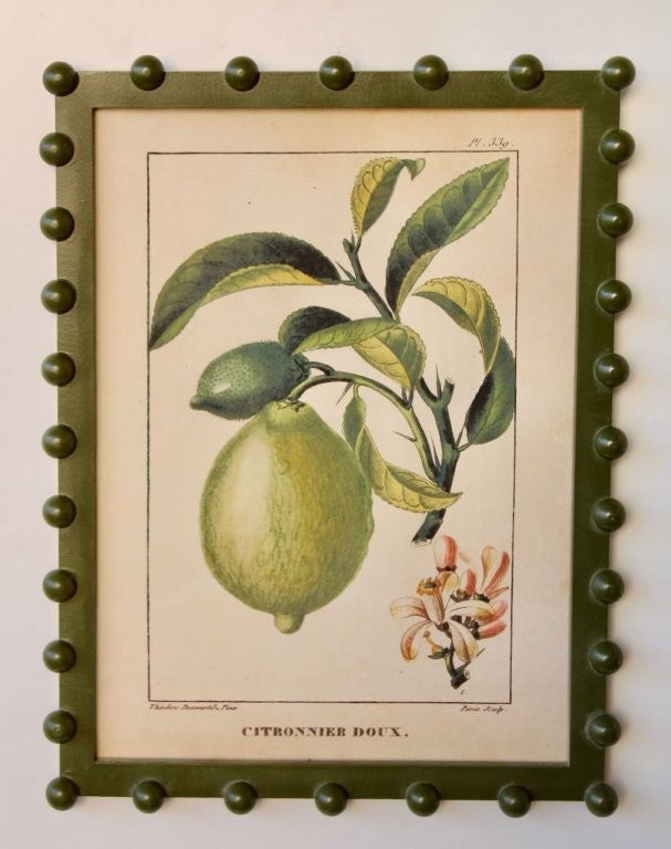 Citrus Picture in a Green Bobble Frame