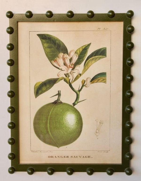 Orange Picture in a Green Bobble Frame