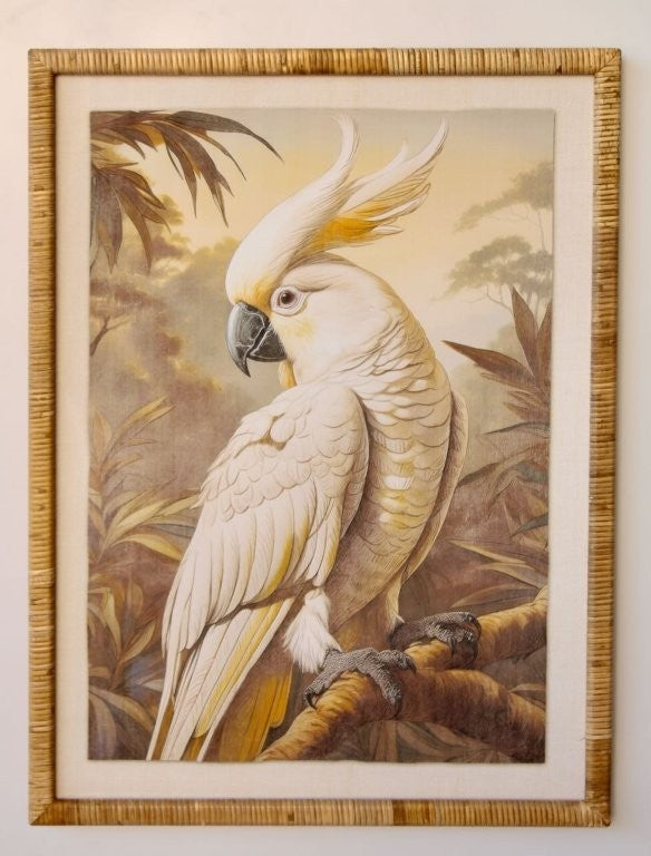 White Parrot with Rattan Frame