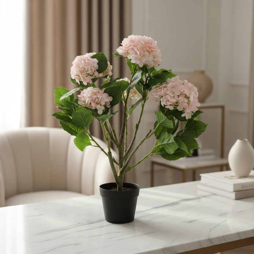 Potted plant with pink flowers and green leaves on a white background