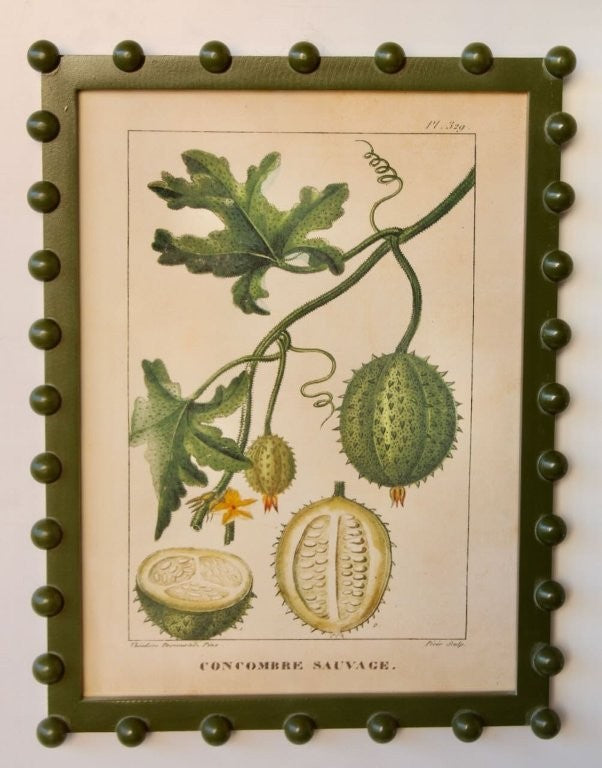Cucumber Picture in a Green Bobble Frame