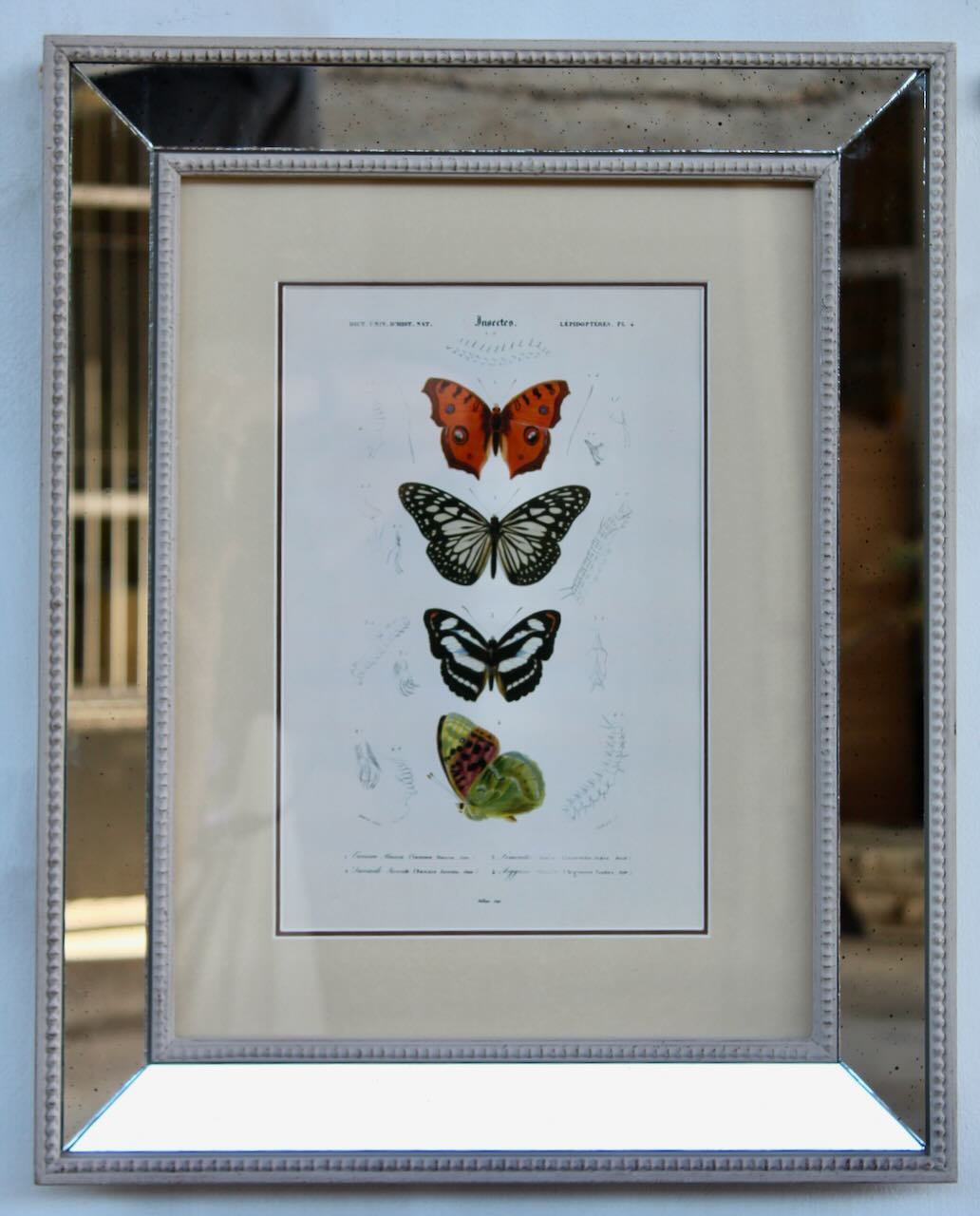 Antiqued Mirrored Butterfly Picture 2