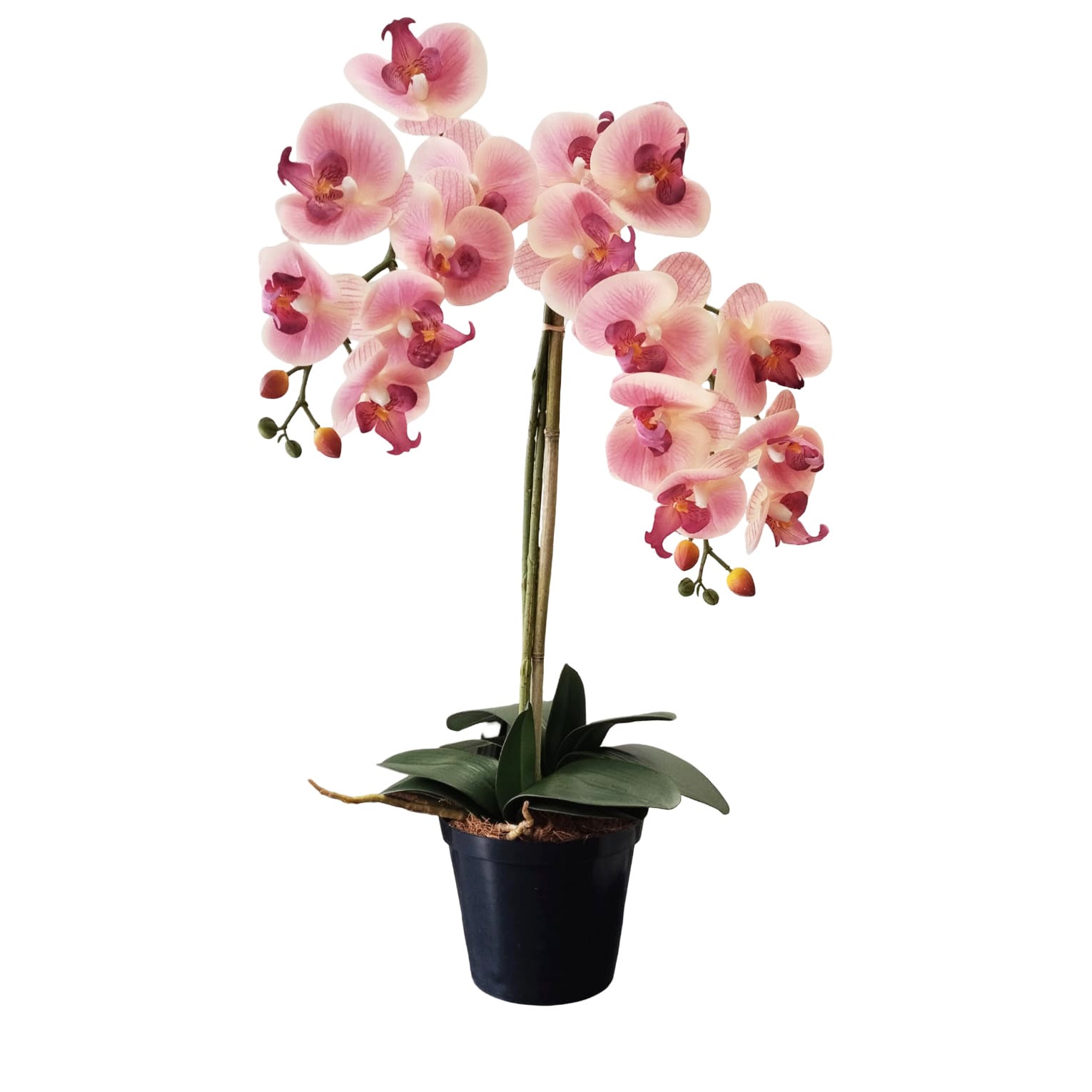 65cm Tall Faux Soft Pink Orchid