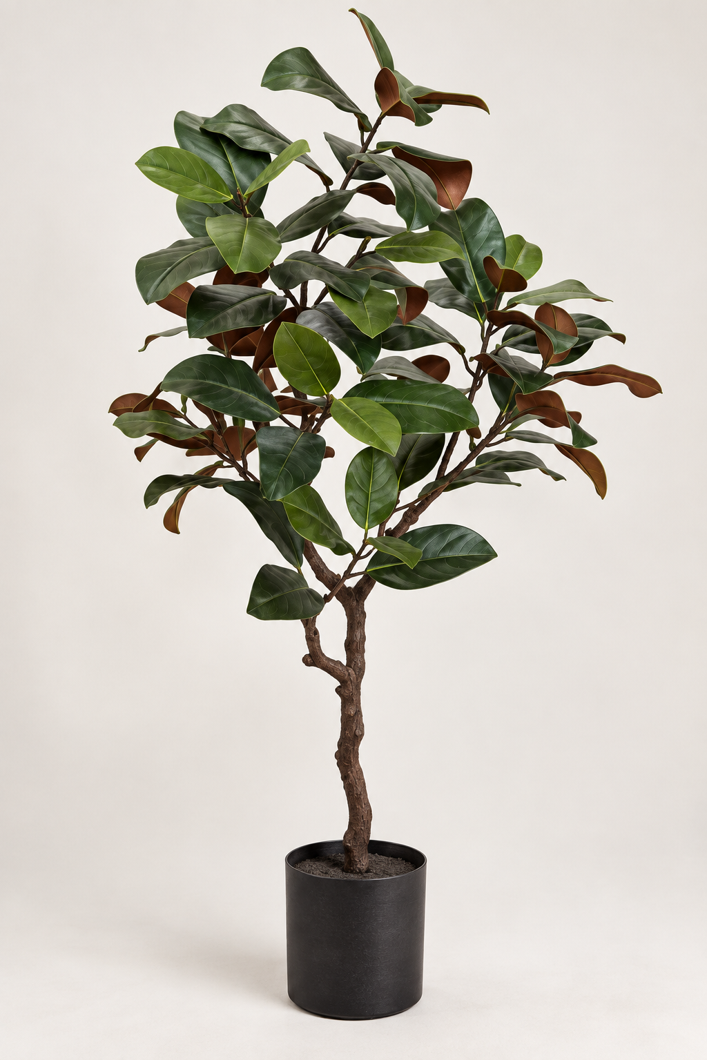 Faux Magnolia Leaf Tree 122cm in Pot
