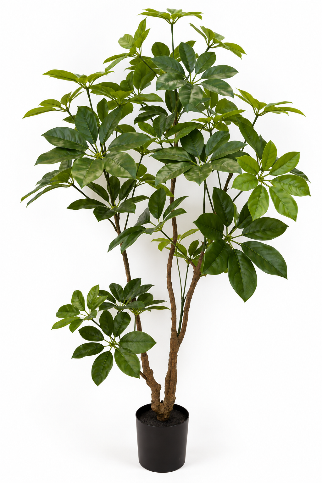 Faux Schefflera Tree 117cm in Pot