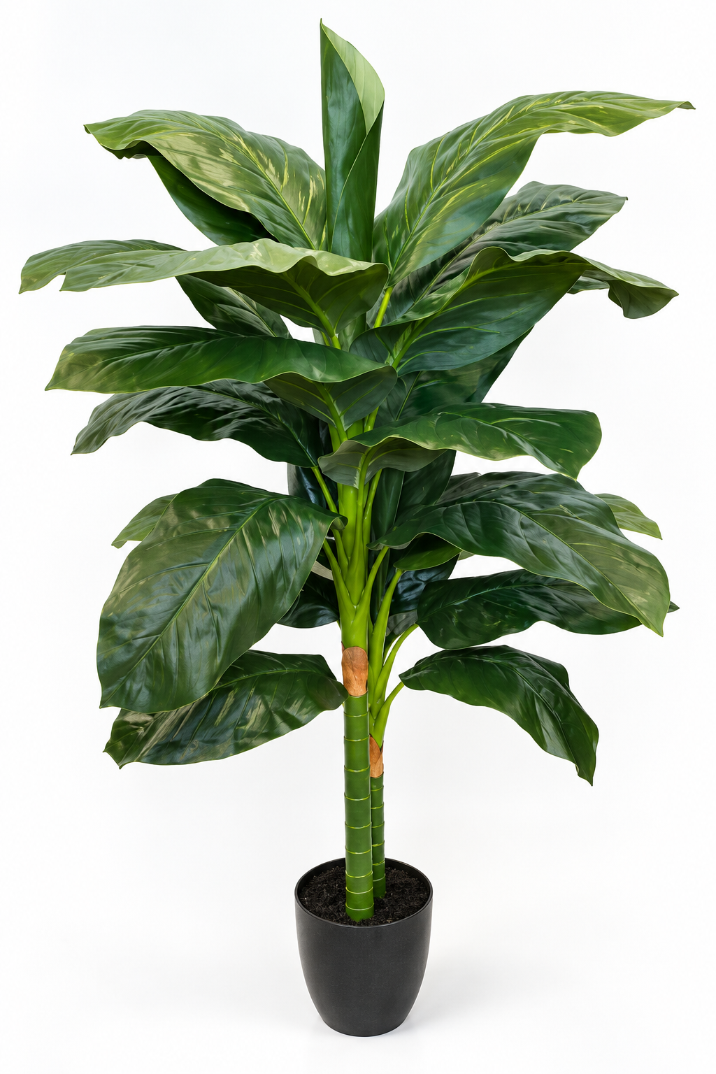 Faux Tropical Evergreen Plant 148cm in Pot )