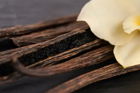 Dr. Vranjes Ambra 2500ml refill with white sticks