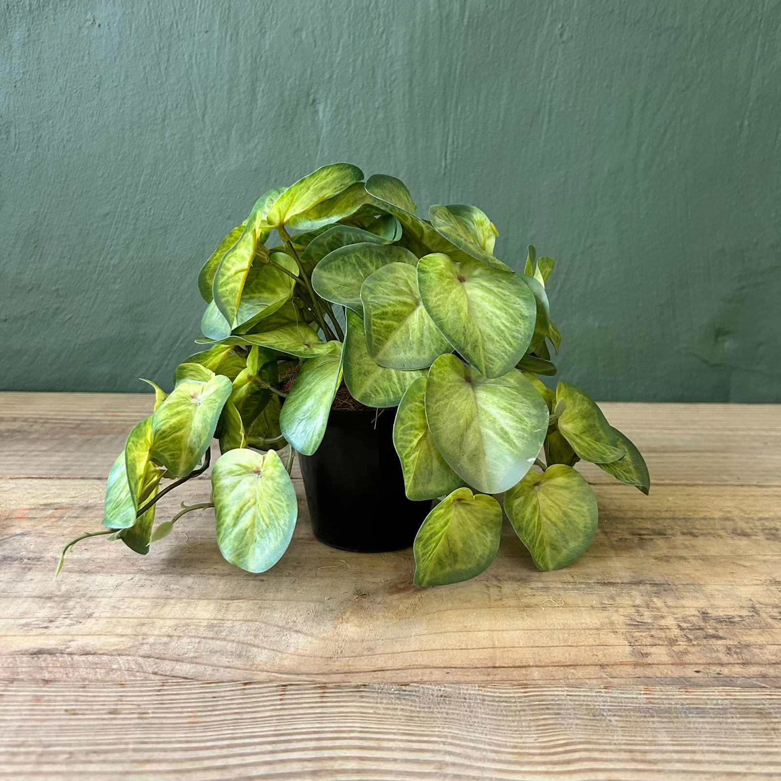 Faux Plantain Potted Plant