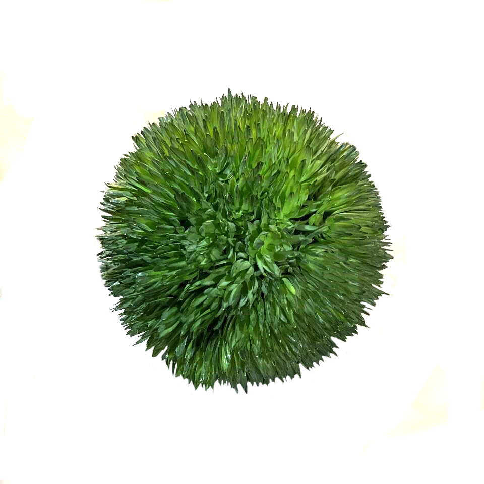Unique Textured Greenery Ball with Succulent Look