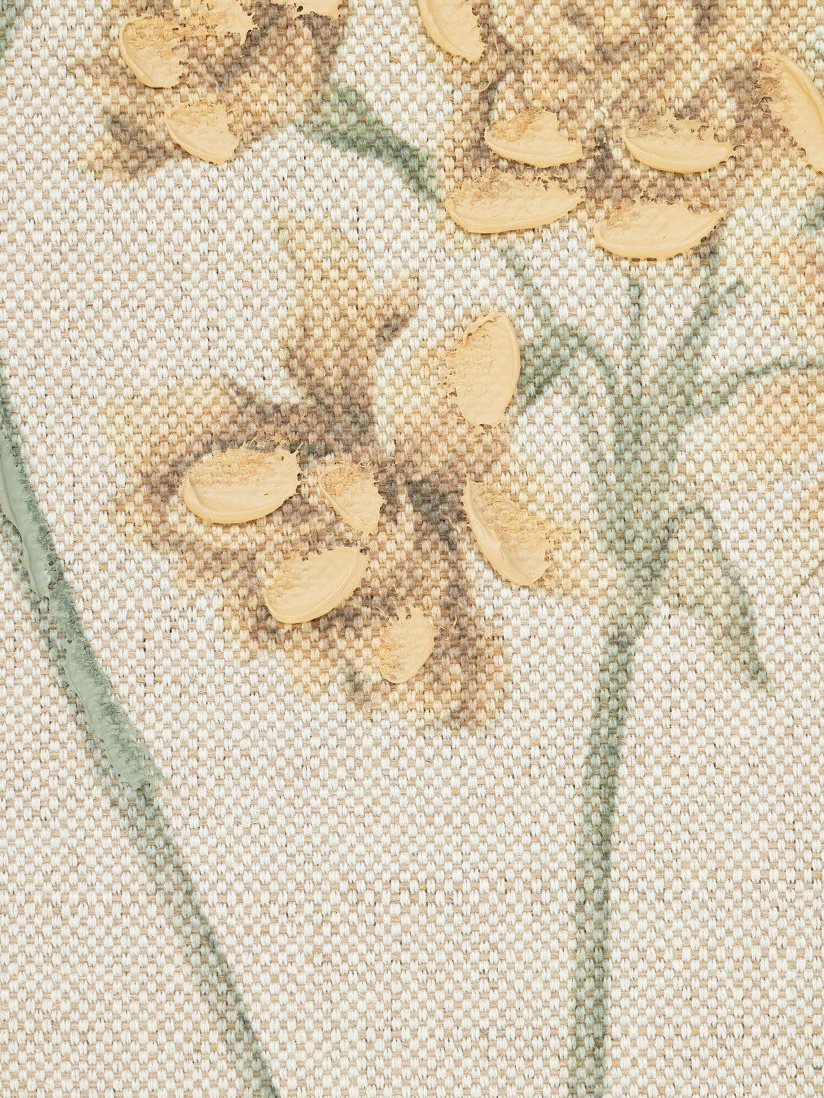 FIELD STUDIES ART HPL SET OF 4 in Botanical