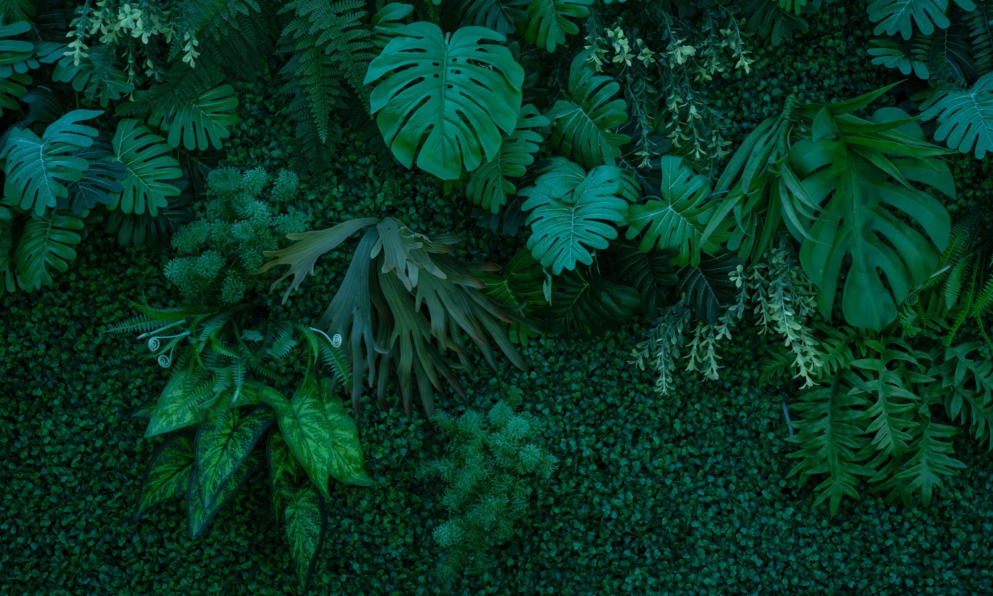 Foliage Fiesta Mural