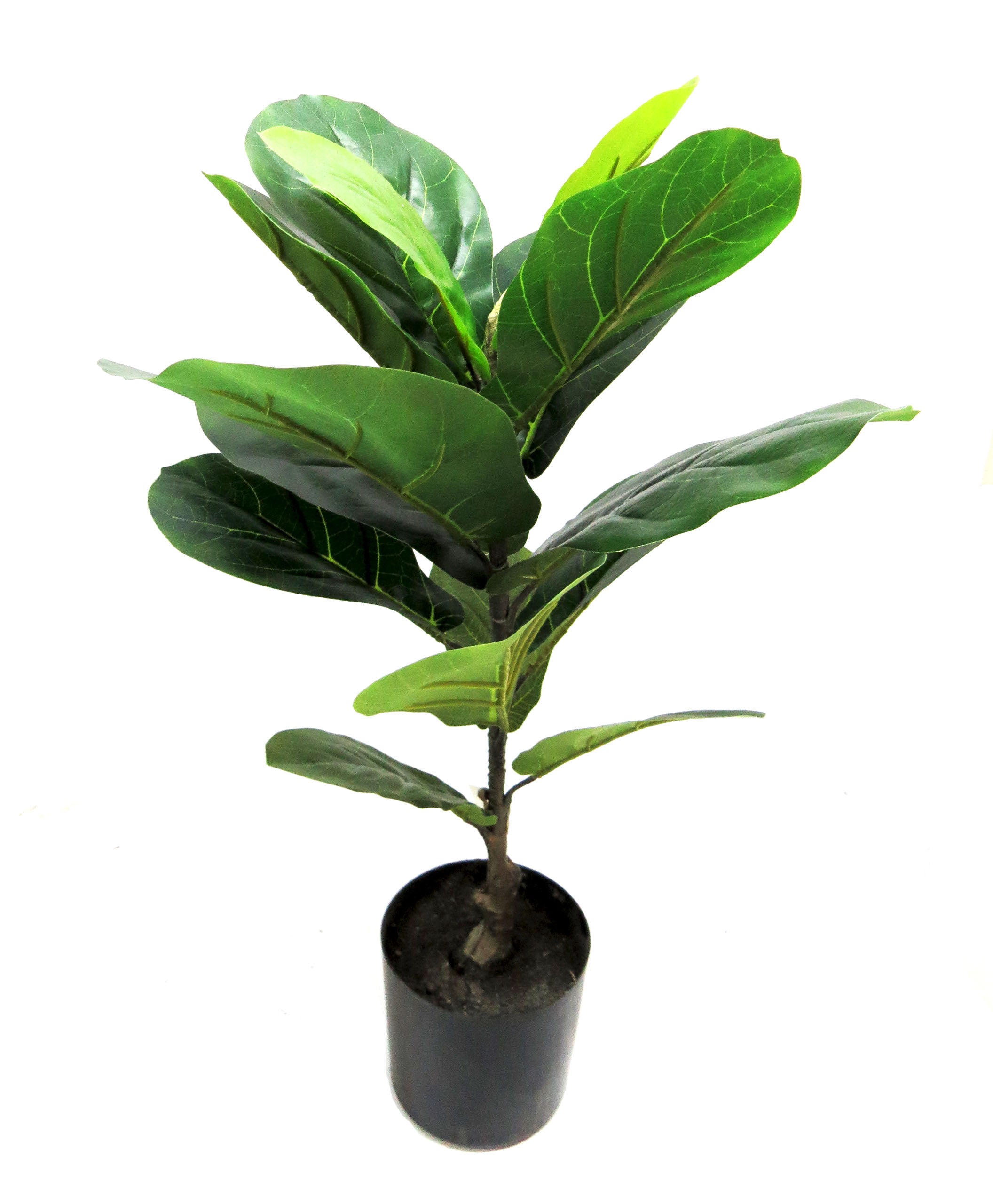 Faux Fiddle Tree 58cm