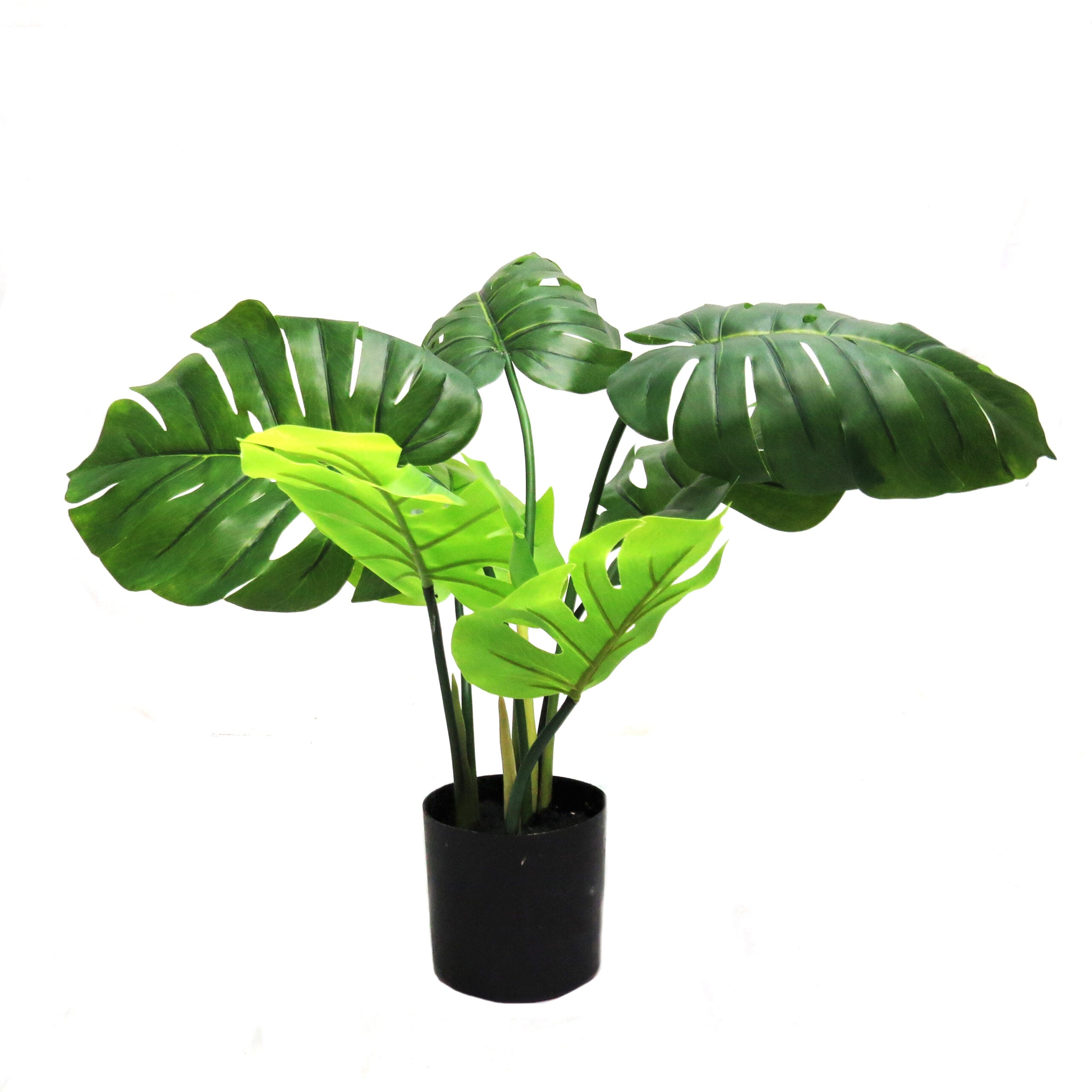 Faux Delicious Monster 60cm