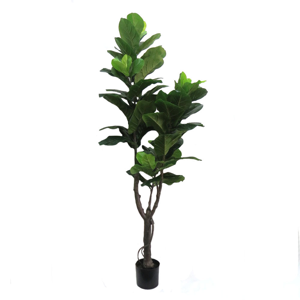 Faux Fiddlefig Tree 180cm