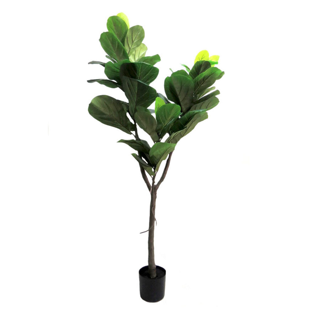 Faux Fiddle Tree 150cm