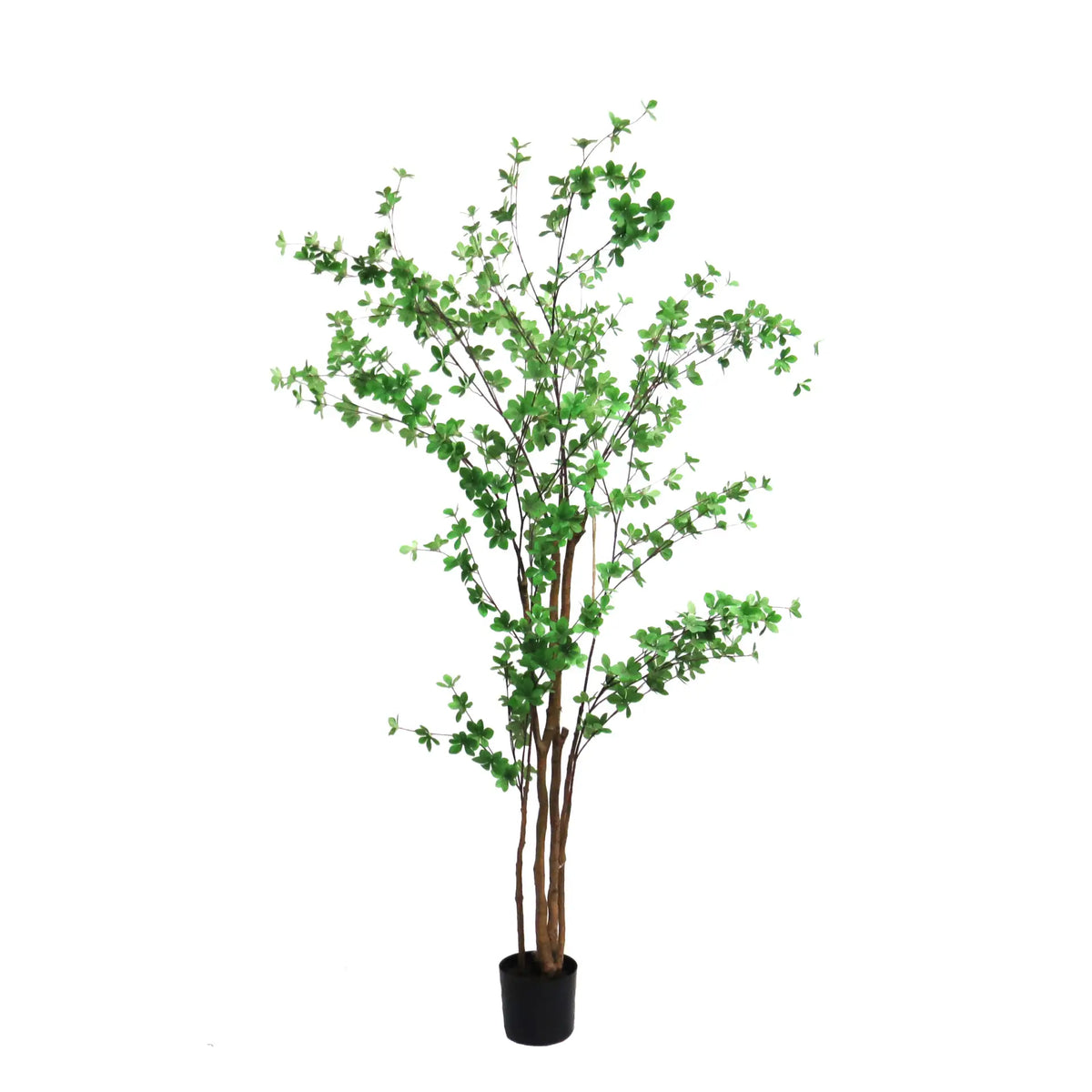 Rondiflorium Leaf Faux Tree 190cm