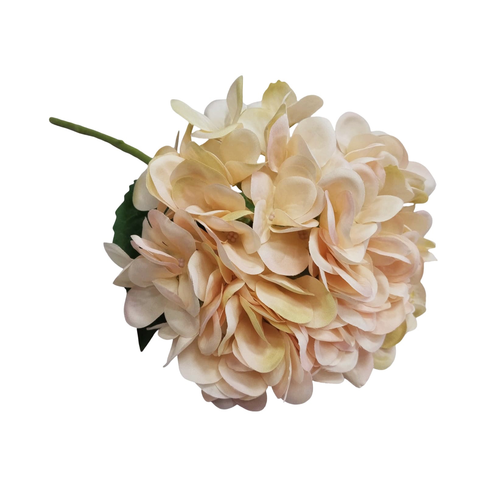 Set of 6 Peach Hydragea Sprays