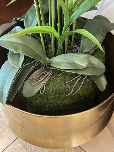 180cm Magnificent 13 Stem Faux Orchid