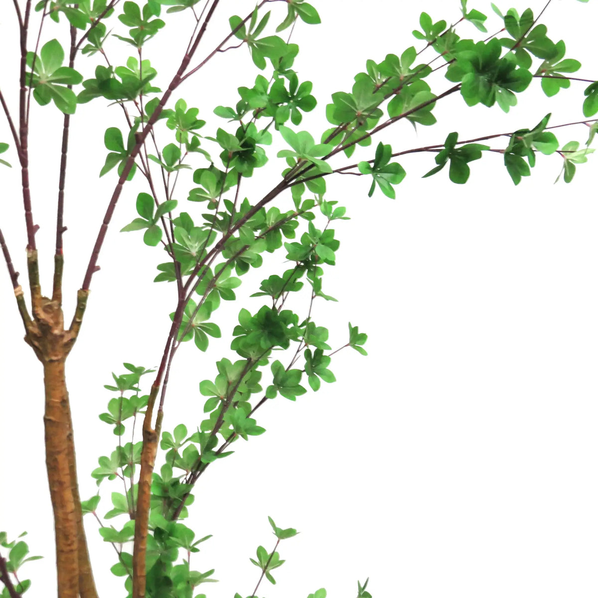 Rondiflorium Leaf Faux Tree 190cm