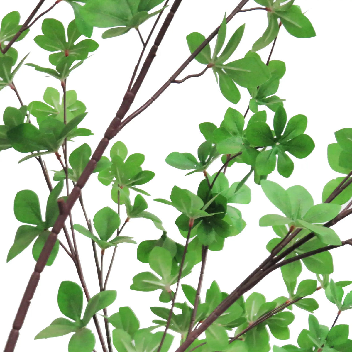 Rondiflorium Leaf Faux Tree 190cm