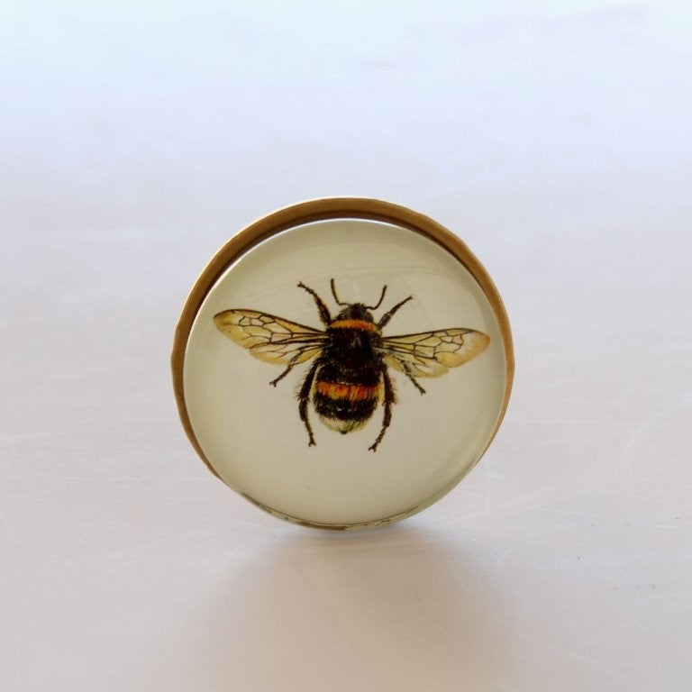 Metal Bee Knob with Dome Top