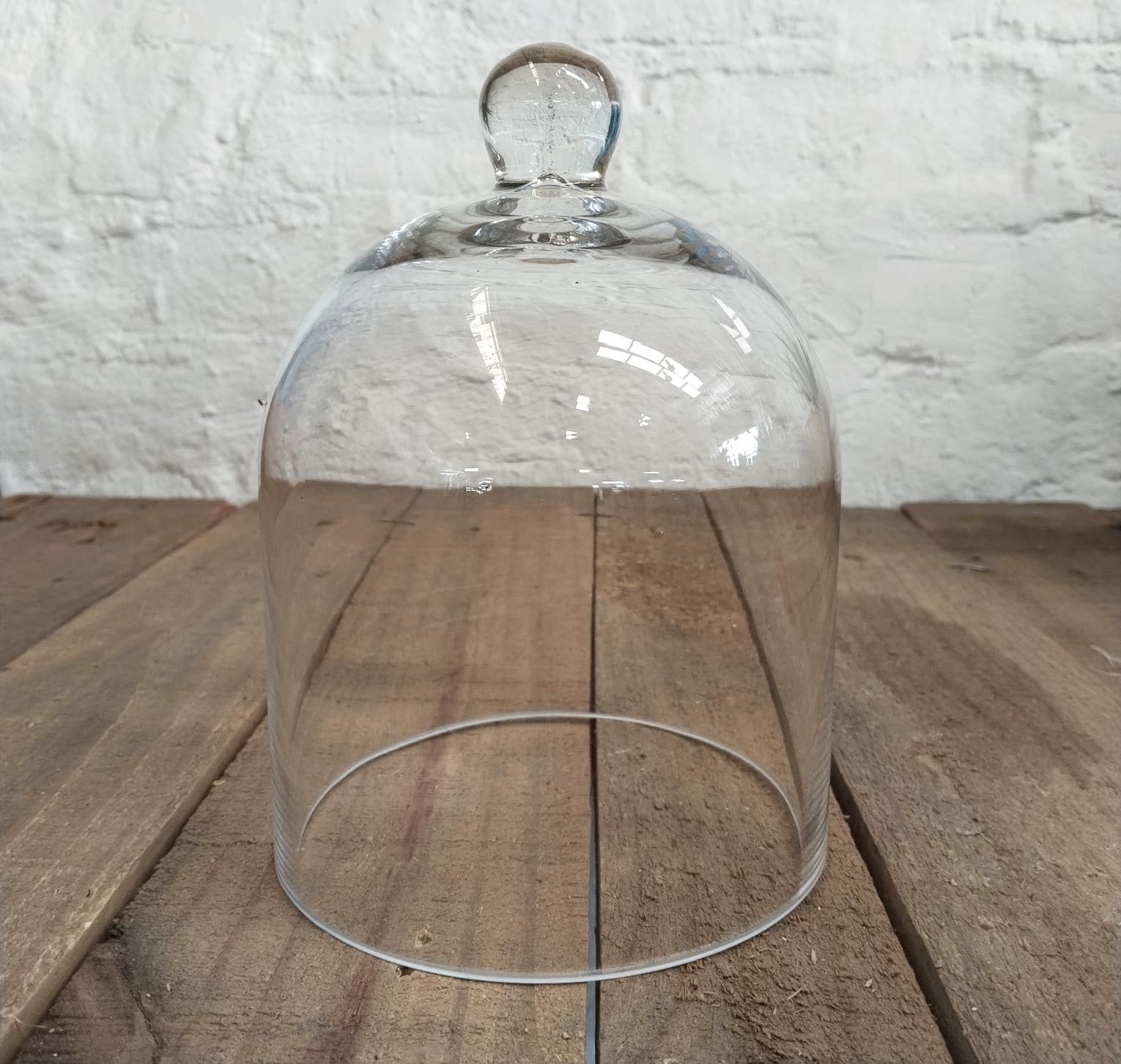 Enchanted Rose Glass Dome