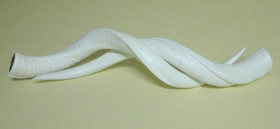 2 Medium Kudu Horns - White