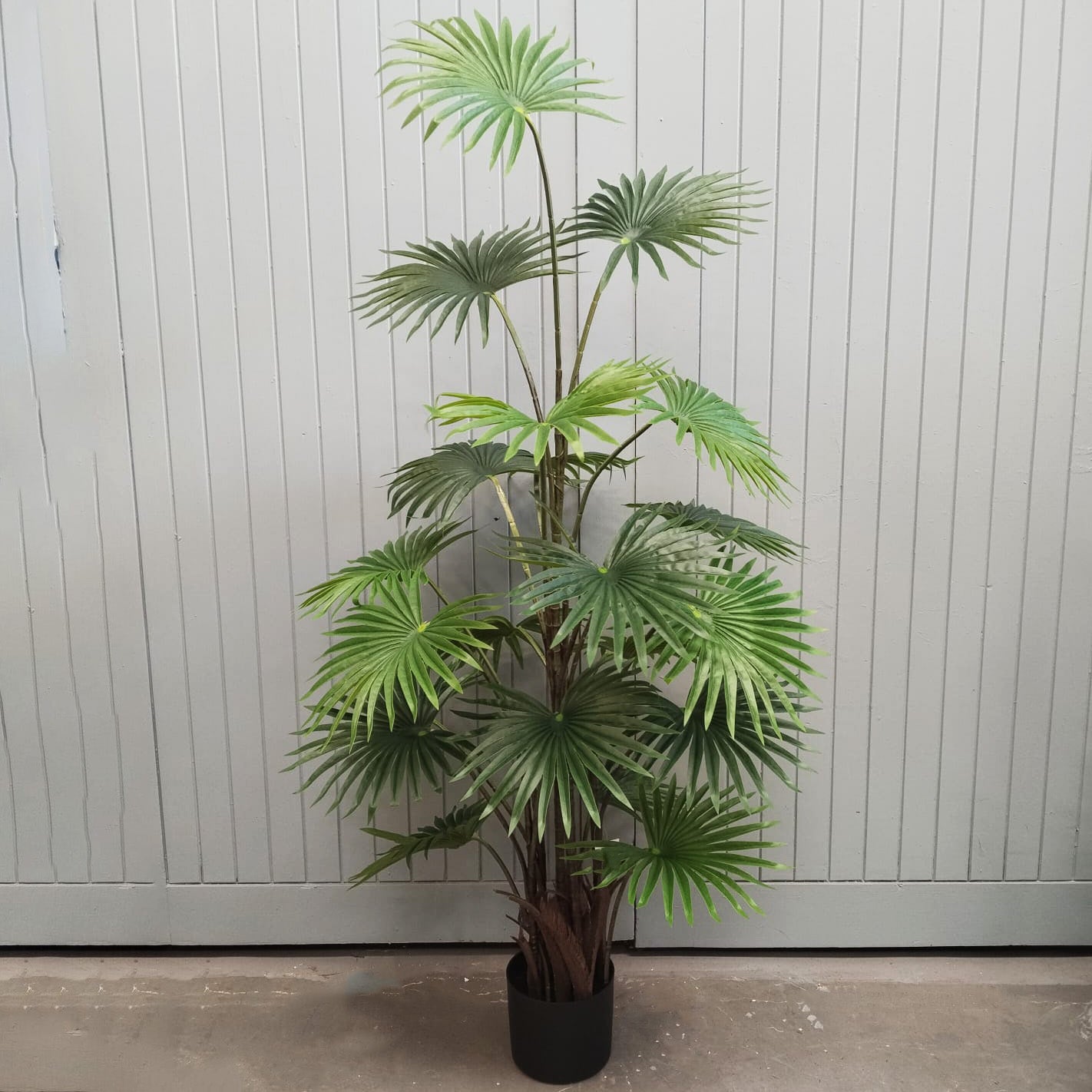 Faux Fan Palm Potted 150cm