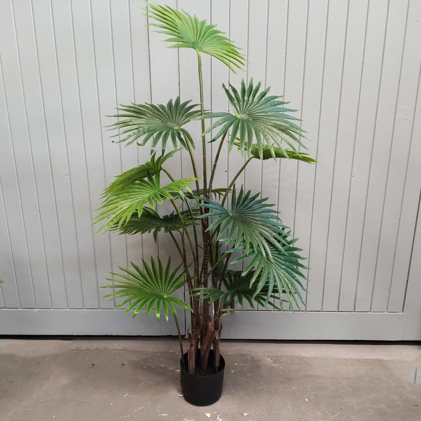 Faux Fan Palm Potted 120cm