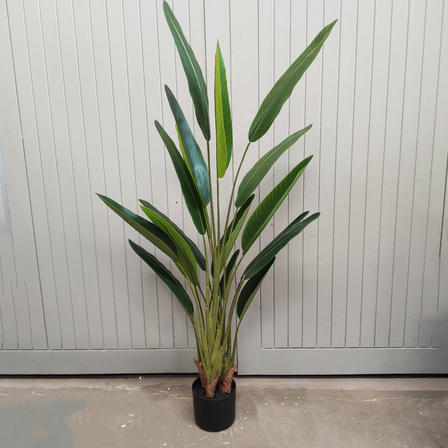 Faux Strelizia Potted 150cm
