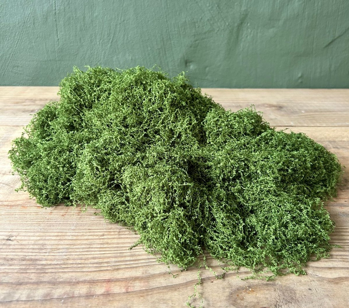 Faux String Moss 500g