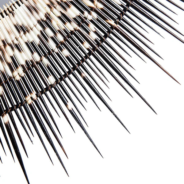 Large Porcupine Quill Mirror