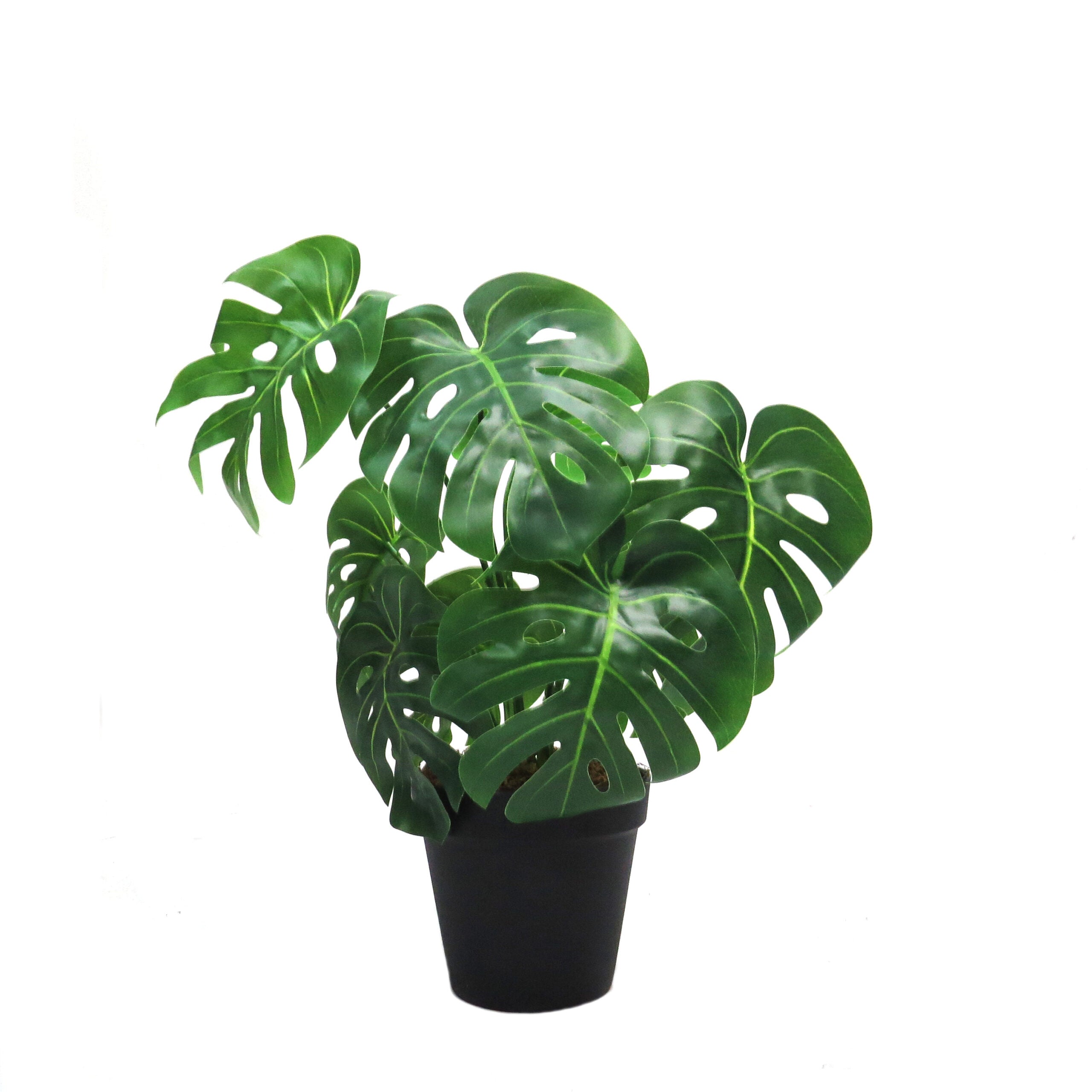 Compact & Stylish Artificial Mini Monstera
