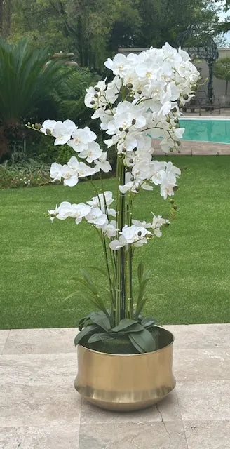 180cm Magnificent 13 Stem Faux Orchid