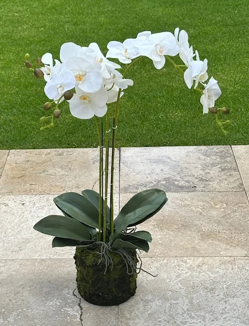 78cm Magnificent 3 Stem Faux Orchid