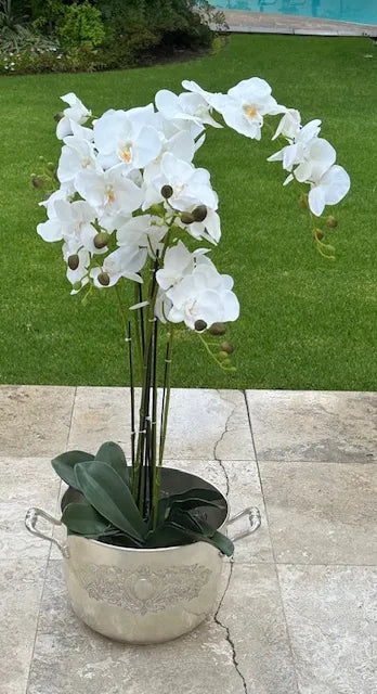 98cm Magnificent 5 Stem Faux Orchid