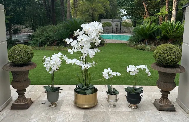 180cm Magnificent 13 Stem Faux Orchid