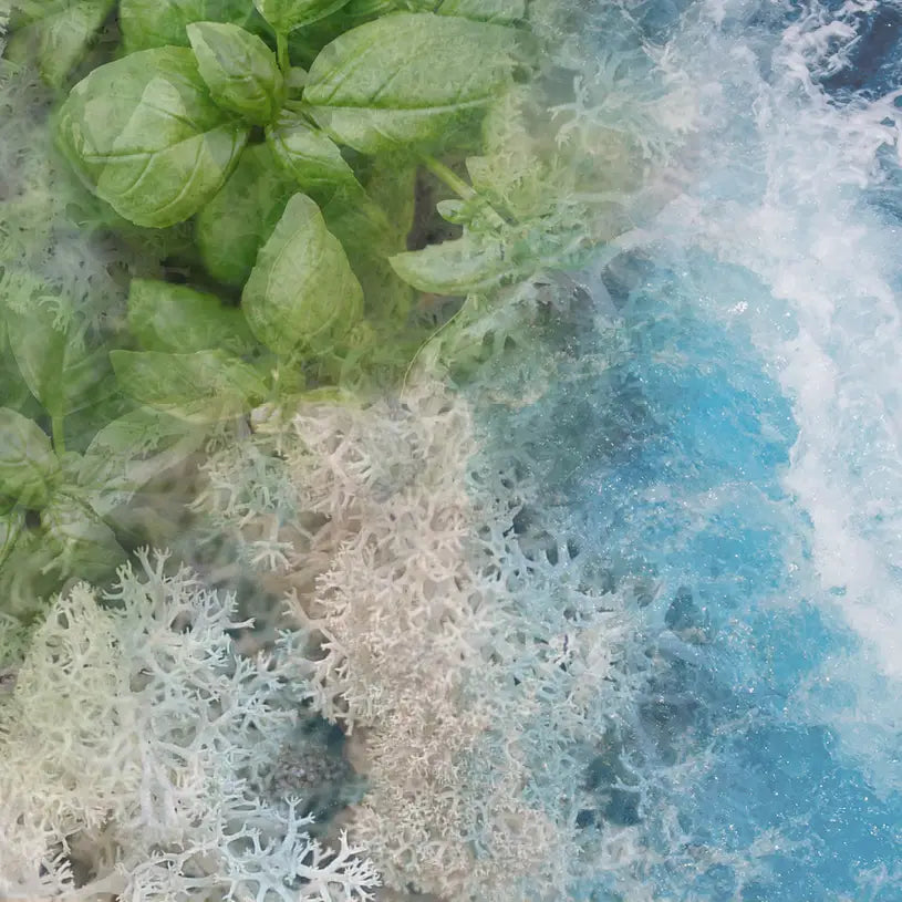 Dr. Vranjes Acqua 500ml