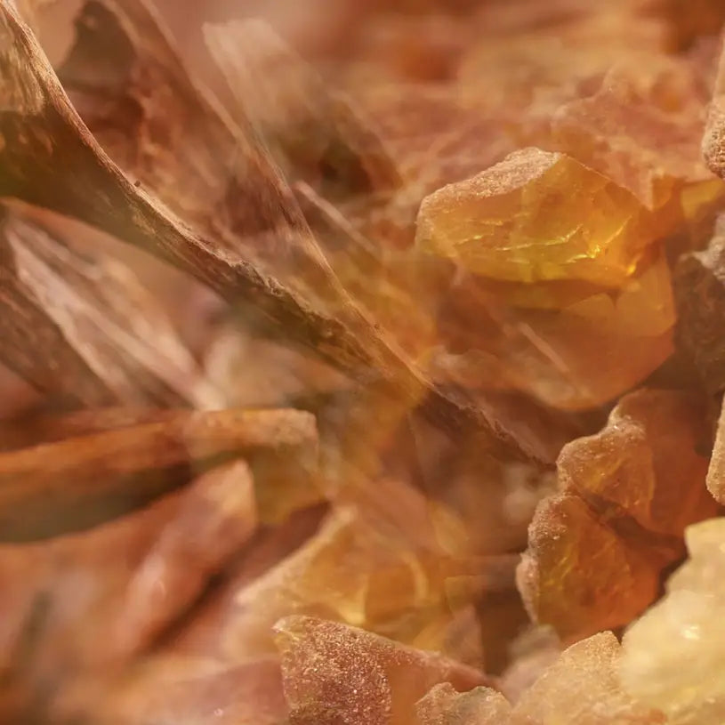 Dr. Vranjes Ambra Scented Candle 1kg