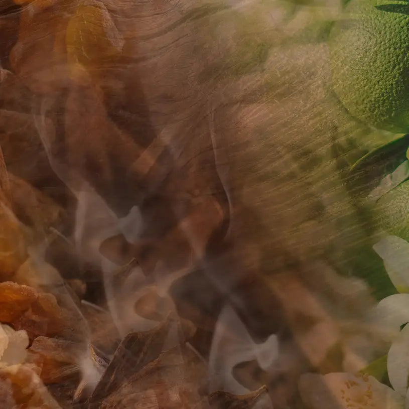 500ml Oud Nobile Dr Vranjes Stick Diffuser