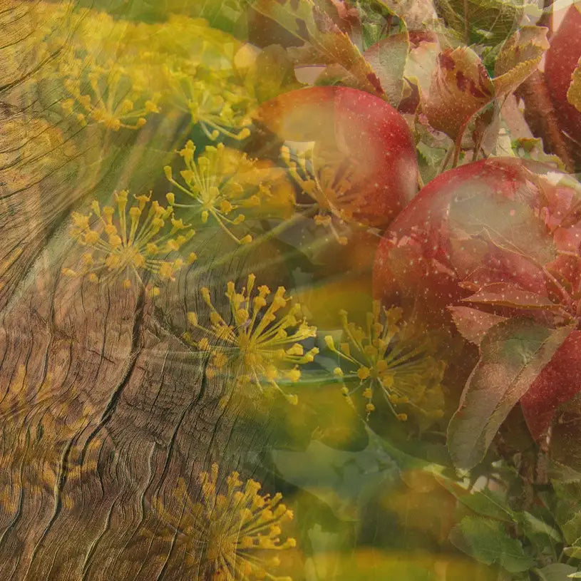 700ml Dr. Vranjes Calvado’s Ballon  Decanter Gift Set