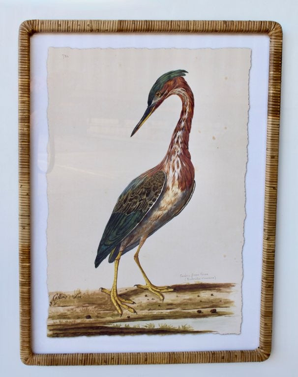 LONG NECK BIRD PICTURE  CANE FRAME