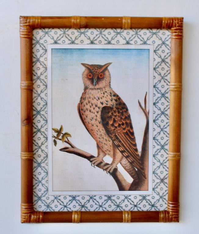 SPOTTED OWL PICTURE BAMBOO FRAME