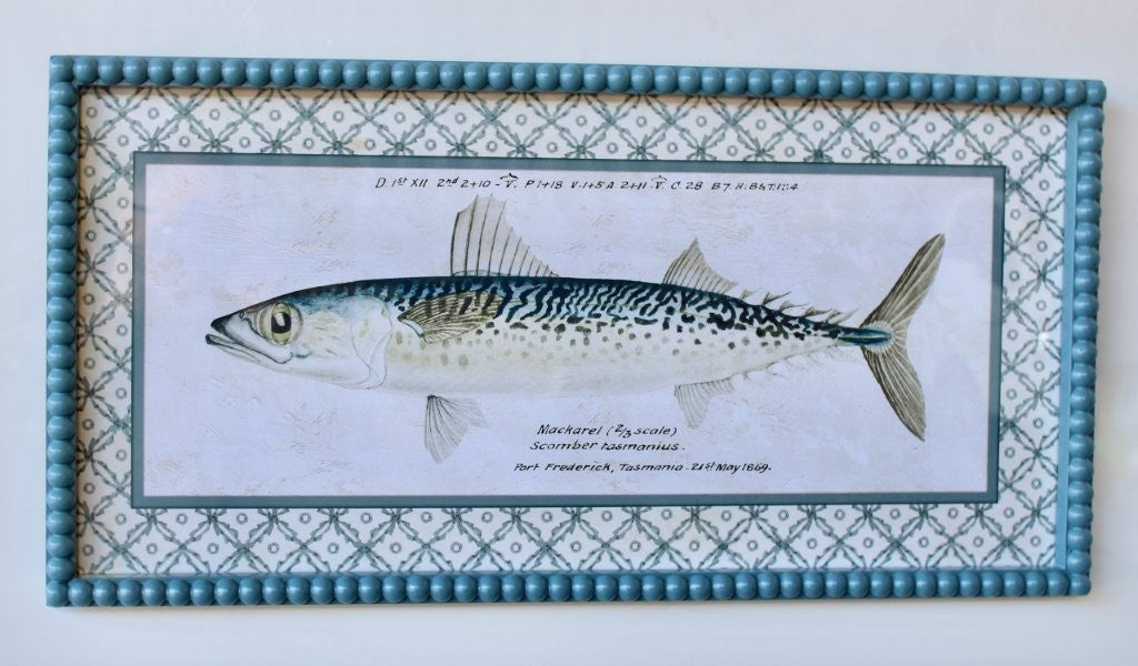 MACKAREL FISH PICTURE BLUE BOBBLE FRAME